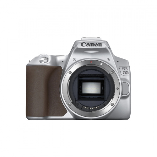 Цифровой зеркальный фотоаппарат CANON EOS 250D EF-S 18-55 mm IS STM Silver фото 2