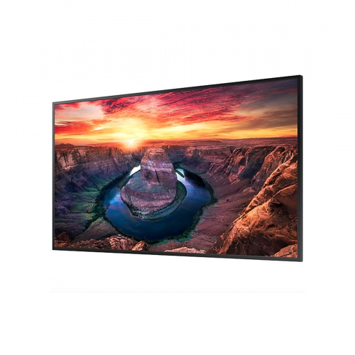 Профессиональный дисплей Samsung QM43B-E 43" фото 2