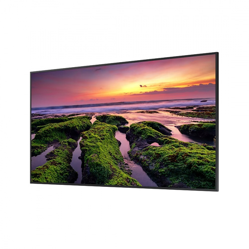 Профессиональный дисплей Samsung QB50B-E 50" фото 2