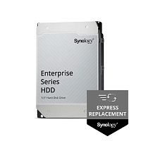 Жесткий диск Synology HAT5320-24T