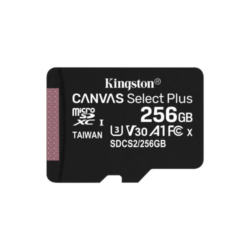 Карта памяти Kingston SDCS2/256GBSP Class 10 256GB без адаптера фото 2