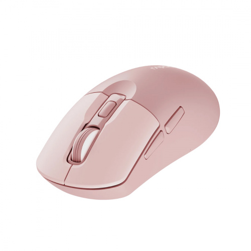 Компьютерная мышь Rapoo M308 Silent Pink